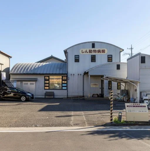 しん動物病院
