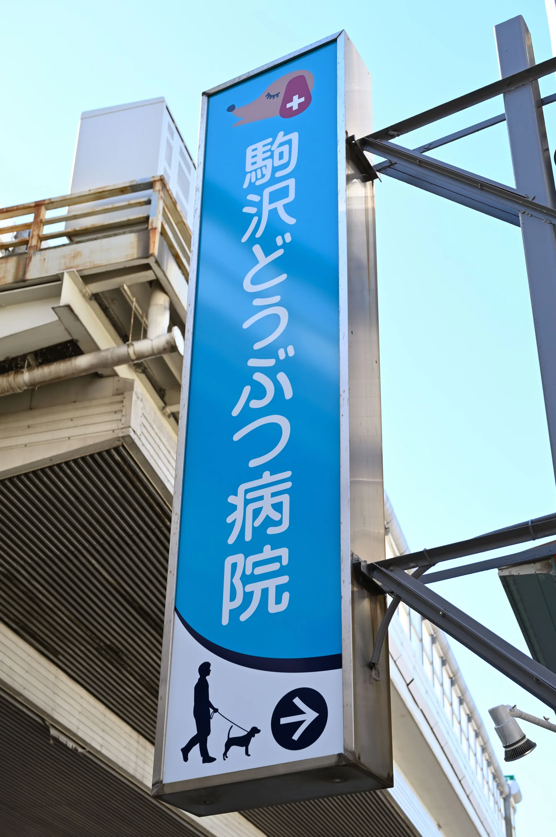 サムネイル 3
