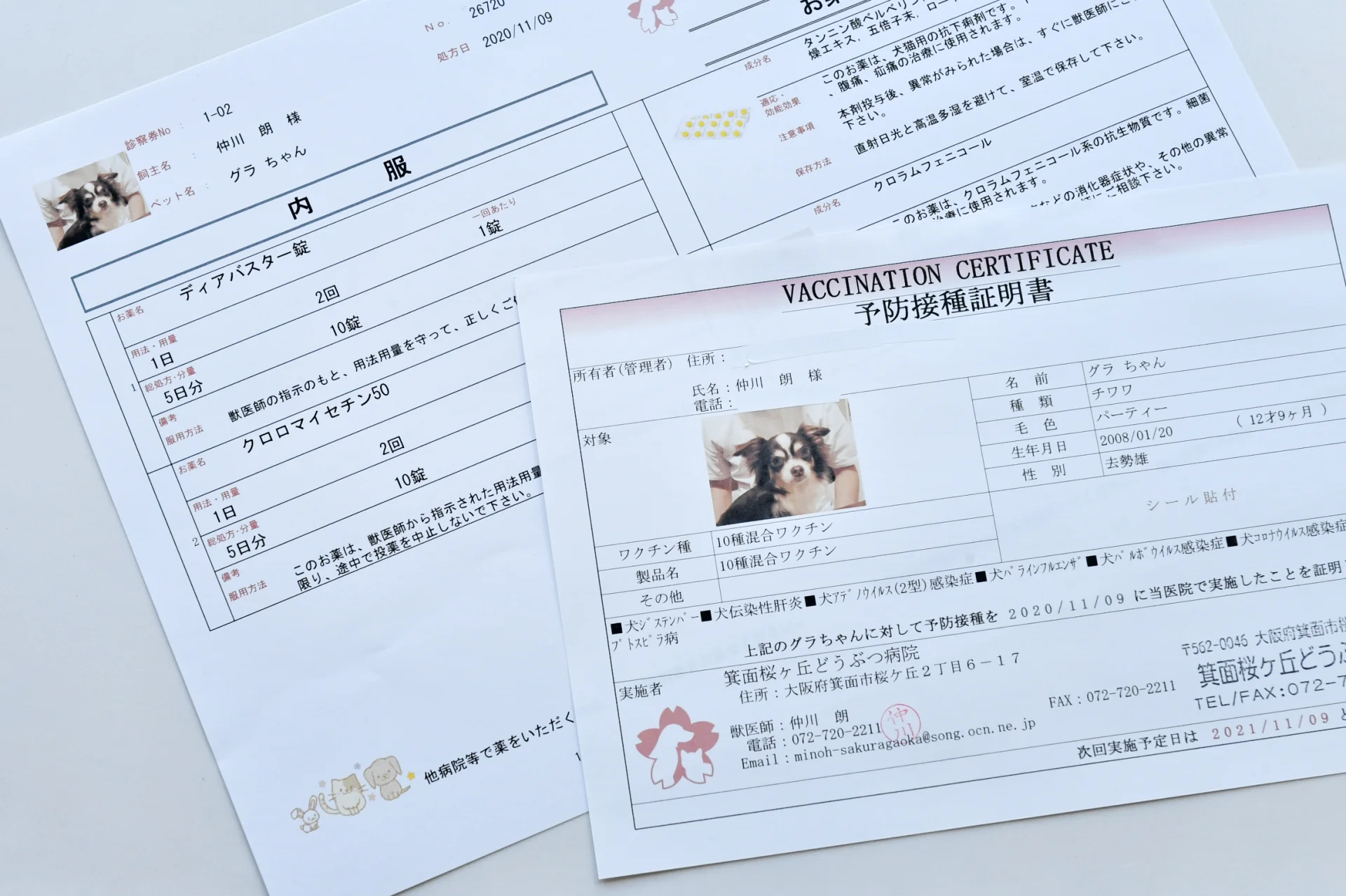 サムネイル 6