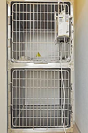 サムネイル 9