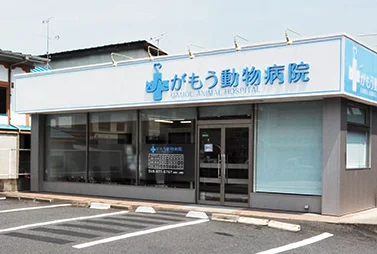 がもう動物病院