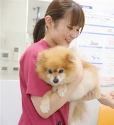 サムネイル 6