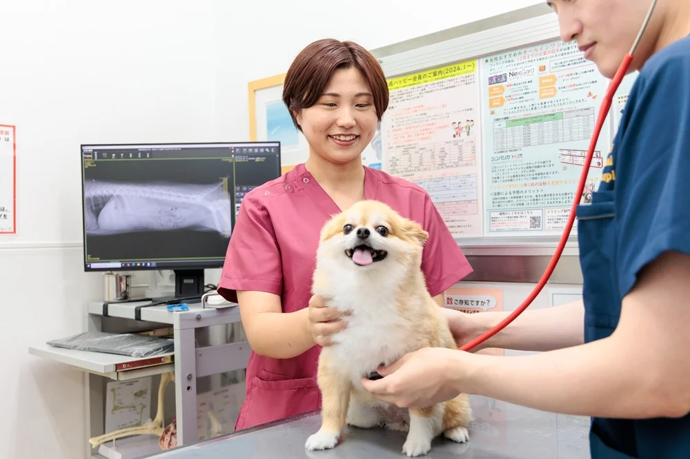 サムネイル 7