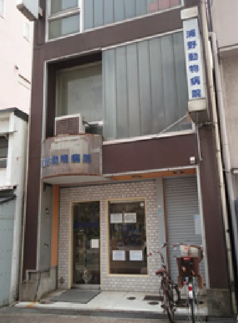 浦野動物病院