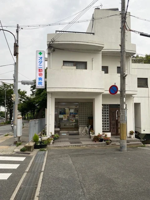オタニ動物病院