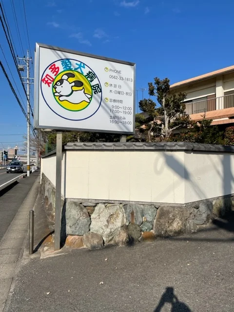 知多愛犬病院