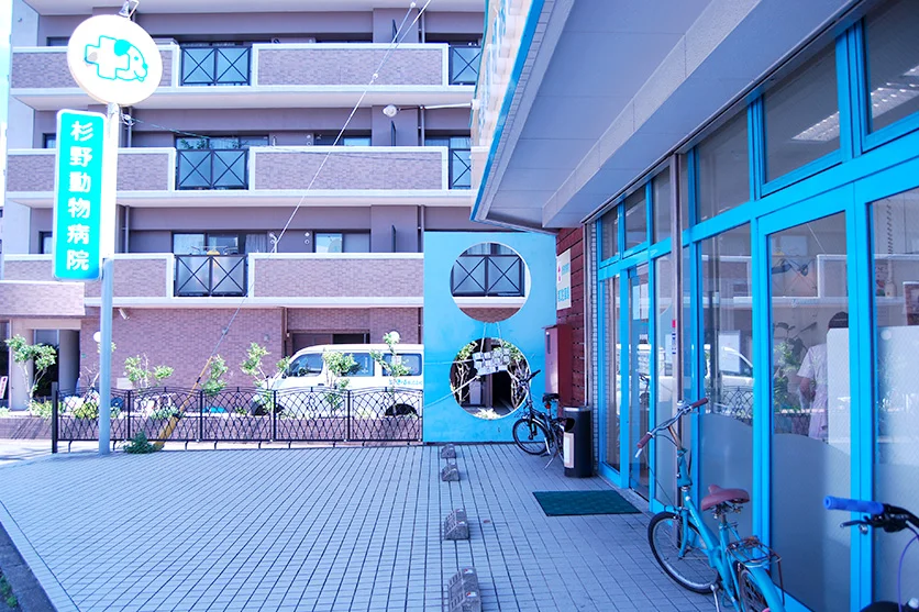 サムネイル 2