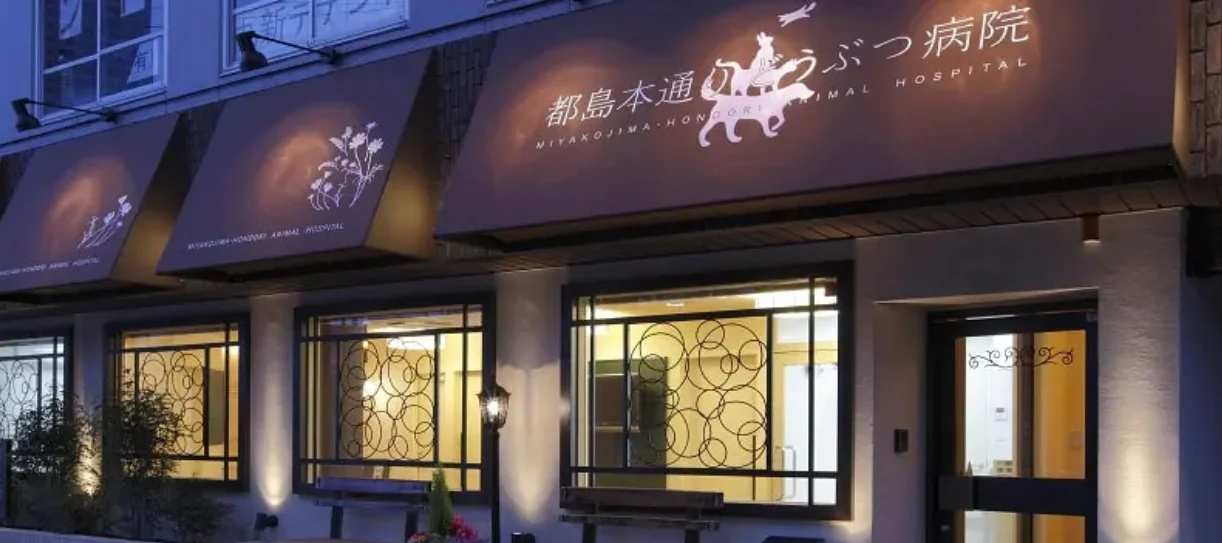 都島本通りどうぶつ病院