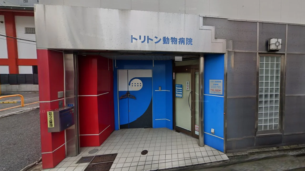 トリトン動物病院
