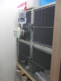 サムネイル 7