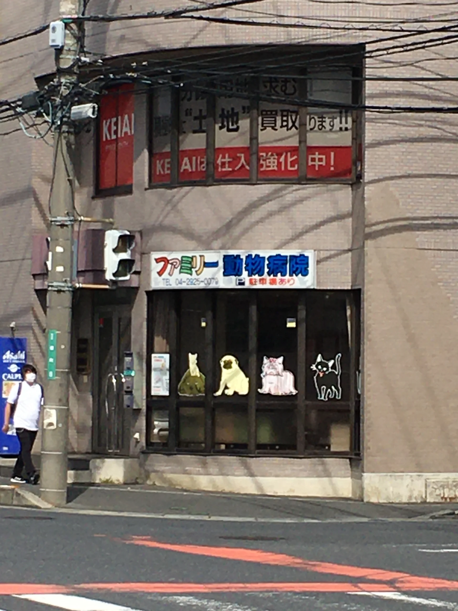 ファミリー動物病院