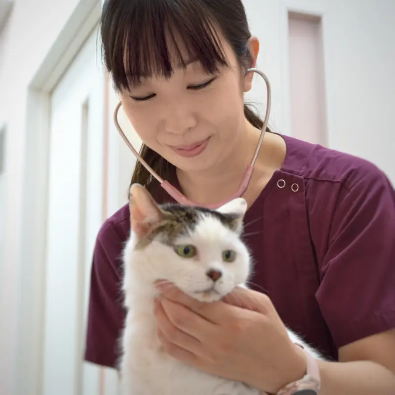谷口 史奈